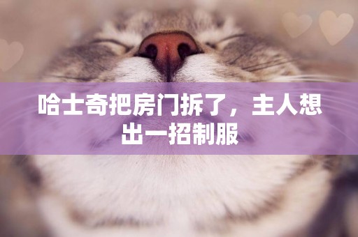哈士奇把房門拆了，主人想出一招制服