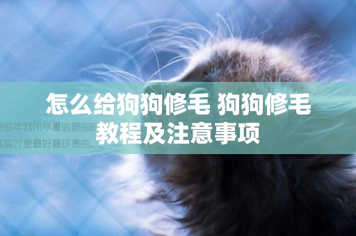怎么給狗狗修毛 狗狗修毛教程及注意事項