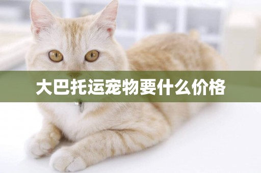 大巴托運寵物要什么價格