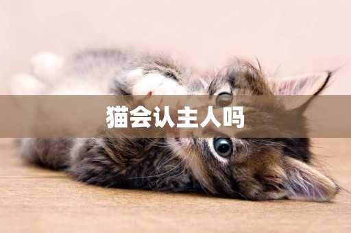 貓會認主人嗎
