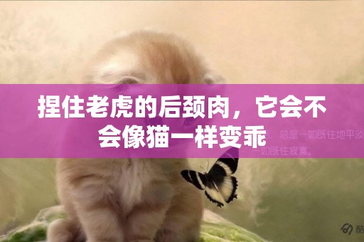 捏住老虎的后頸肉，它會不會像貓一樣變乖