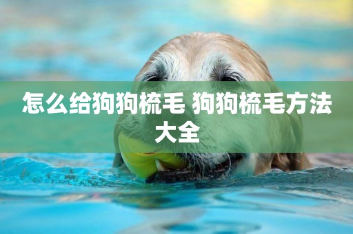 怎么給狗狗梳毛 狗狗梳毛方法大全