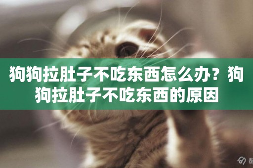 狗狗拉肚子不吃東西怎么辦？狗狗拉肚子不吃東西的原因