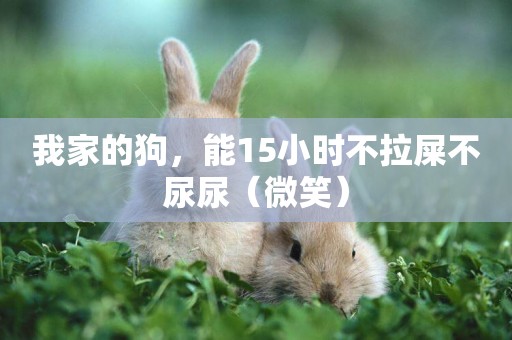 我家的狗，能15小時不拉屎不尿尿（微笑）