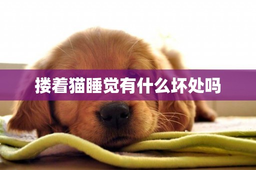 摟著貓睡覺有什么壞處嗎