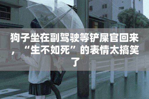 狗子坐在副駕駛等鏟屎官回來，“生不如死”的表情太搞笑了