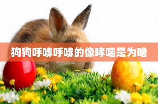 狗狗呼哧呼哧的像哮喘是為啥