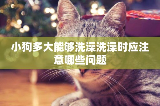 小狗多大能夠洗澡洗澡時應注意哪些問題