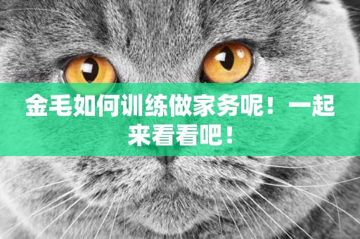 金毛如何訓練做家務呢！一起來看看吧！