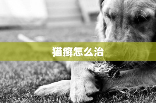 貓癬怎么治