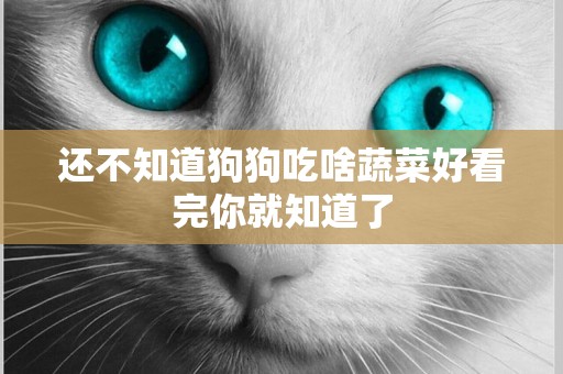 還不知道狗狗吃啥蔬菜好看完你就知道了
