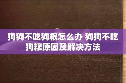 狗狗不吃狗糧怎么辦 狗狗不吃狗糧原因及解決方法