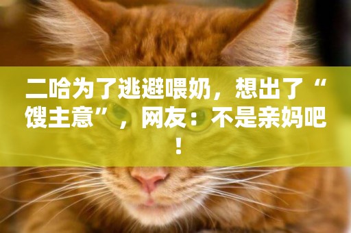 二哈為了逃避喂奶，想出了“餿主意”，網友：不是親媽吧！