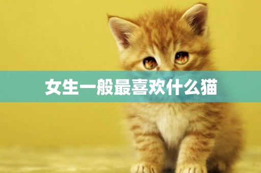 女生一般最喜歡什么貓