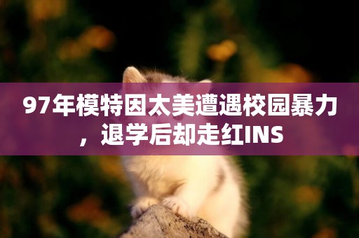97年模特因太美遭遇校園暴力，退學后卻走紅INS