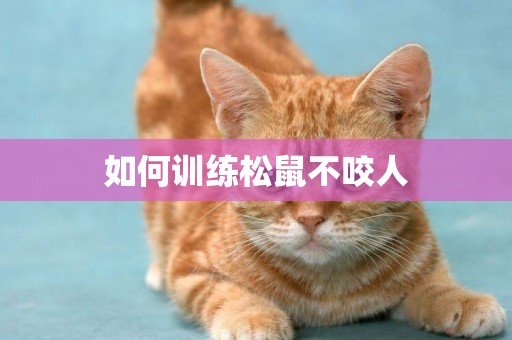 如何訓練松鼠不咬人