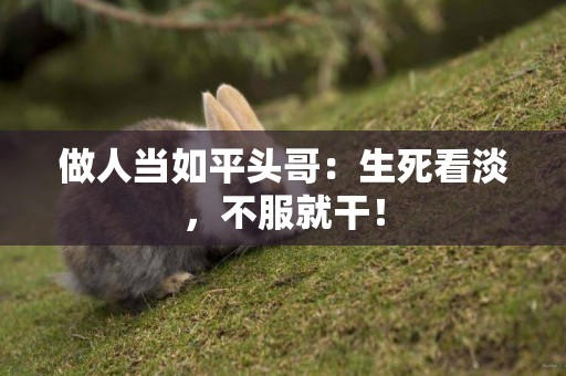 做人當如平頭哥：生死看淡，不服就干！
