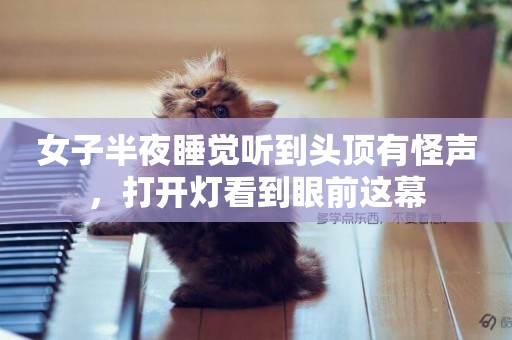 女子半夜睡覺聽到頭頂有怪聲，打開燈看到眼前這幕