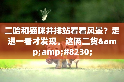 二哈和貓咪并排站著看風景？走進一看才發現，這倆二貨&amp;#8230;