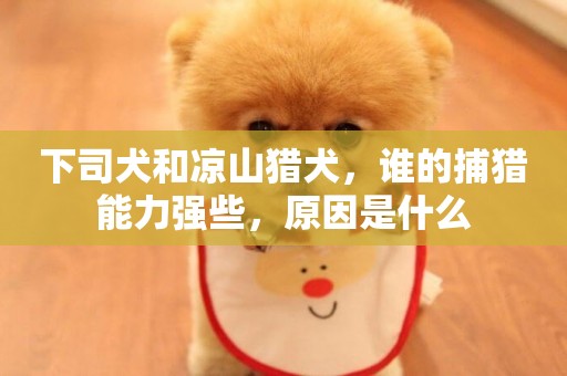 下司犬和涼山獵犬，誰的捕獵能力強些，原因是什么