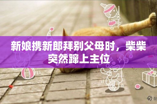 新娘攜新郎拜別父母時，柴柴突然躥上主位