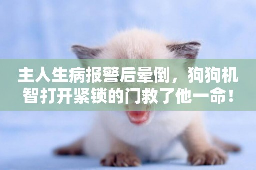 主人生病報警后暈倒，狗狗機智打開緊鎖的門救了他一命！