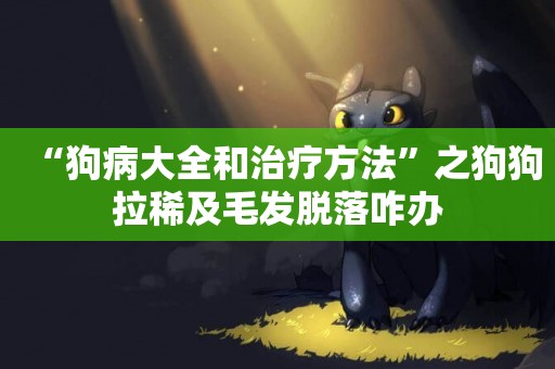 “狗病大全和治療方法”之狗狗拉稀及毛發脫落咋辦