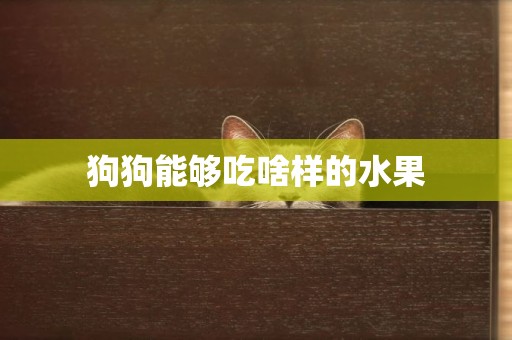狗狗能夠吃啥樣的水果