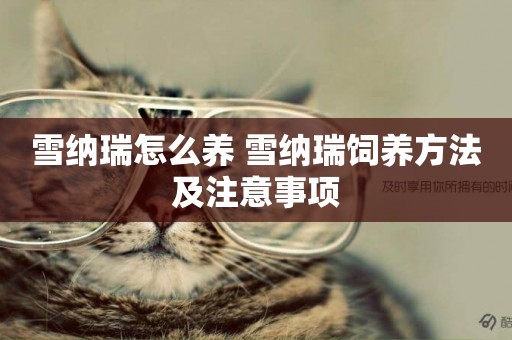 雪納瑞怎么養 雪納瑞飼養方法及注意事項