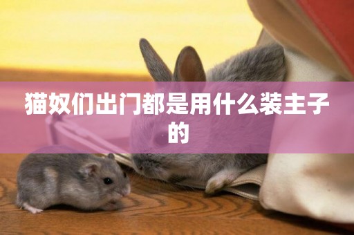 貓奴們出門都是用什么裝主子的