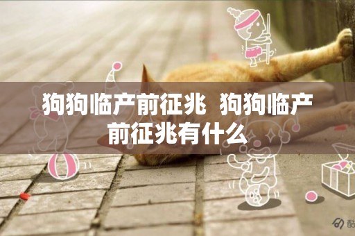 狗狗臨產前征兆  狗狗臨產前征兆有什么