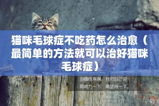 貓咪毛球癥不吃藥怎么治愈（最簡單的方法就可以治好貓咪毛球癥）