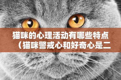 貓咪的心理活動有哪些特點（貓咪警戒心和好奇心是二大心理特征）