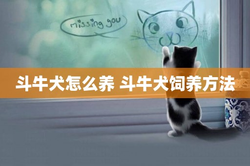 斗牛犬怎么養 斗牛犬飼養方法