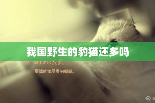 我國野生的豹貓還多嗎