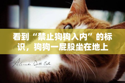 看到“禁止狗狗入內”的標識，狗狗一屁股坐在地上