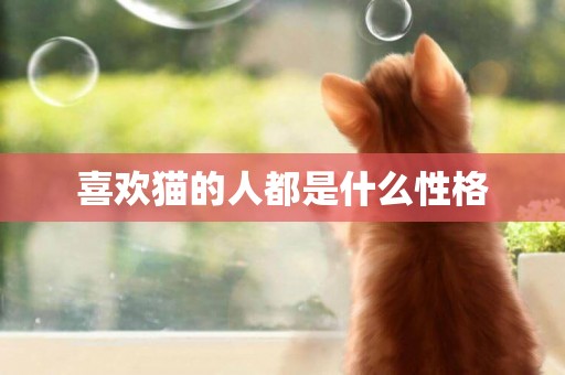 喜歡貓的人都是什么性格