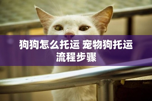 狗狗怎么托運 寵物狗托運流程步驟