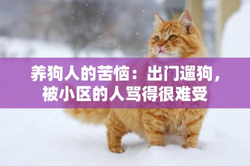 養狗人的苦惱：出門遛狗，被小區的人罵得很難受