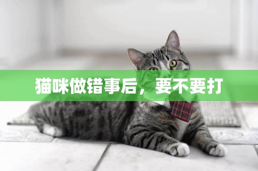 貓咪做錯事后，要不要打