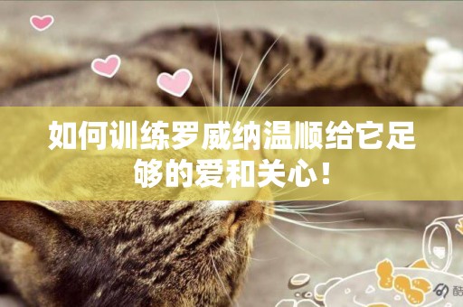 如何訓練羅威納溫順給它足夠的愛和關心！