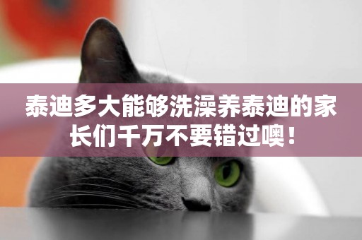 泰迪多大能夠洗澡養泰迪的家長們千萬不要錯過噢！