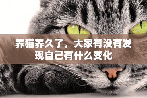 養貓養久了，大家有沒有發現自己有什么變化