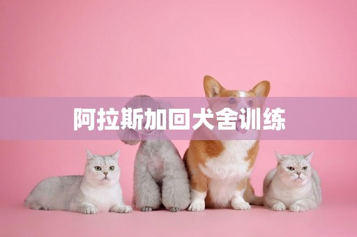 阿拉斯加回犬舍訓練