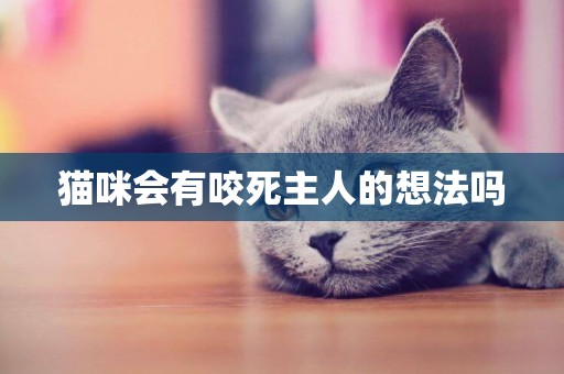 貓咪會有咬死主人的想法嗎