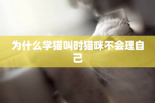 為什么學貓叫時貓咪不會理自己