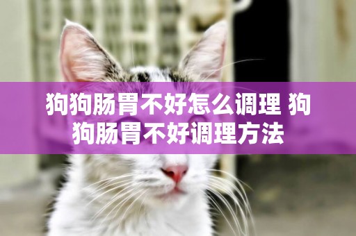 狗狗腸胃不好怎么調理 狗狗腸胃不好調理方法