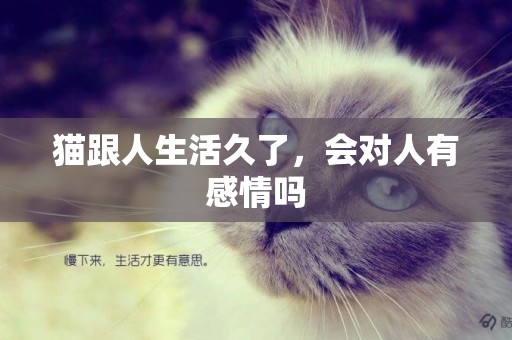 貓跟人生活久了，會對人有感情嗎