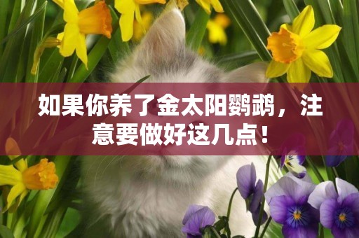 如果你養了金太陽鸚鵡，注意要做好這幾點！