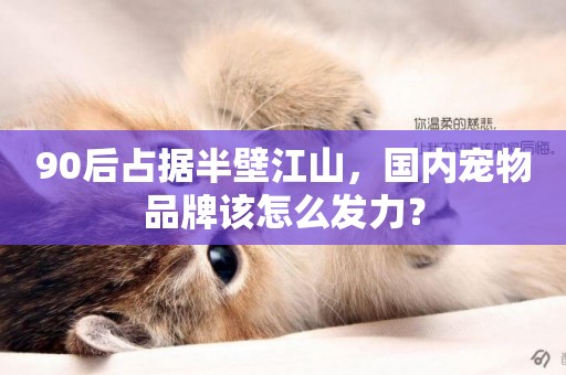 90后占據半壁江山，國內寵物品牌該怎么發力？